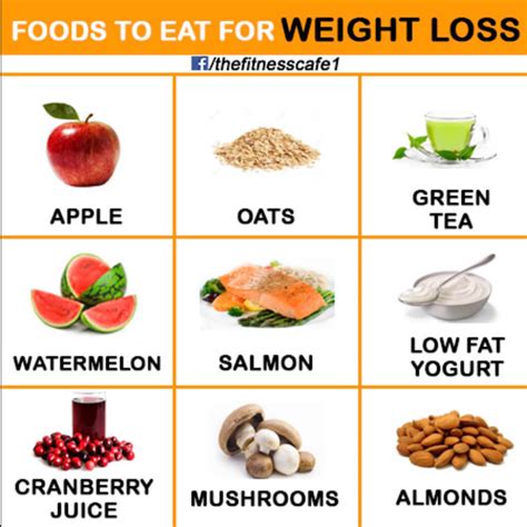 what diet is best for weight loss