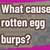 what do egg burps mean