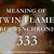 what does 333 mean for twin flames