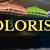 what does a colorist do