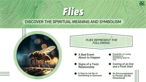 What Does A Fly Symbolize?
