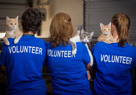 Volunteer Heart of the Valley Animal Shelter