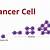 what does clear cell cancer mean