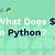 what does d mean in python