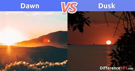 Opposite Of Dawn, Antonyms of Dawn, Meaning and Example Sentences