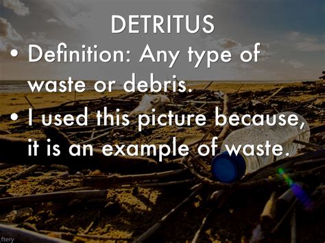 detritus 14 nouns which are synonym to detritus (sentence examples