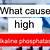 what does high alkaline phosphatase indicate