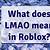 what does lmao mean in roblox