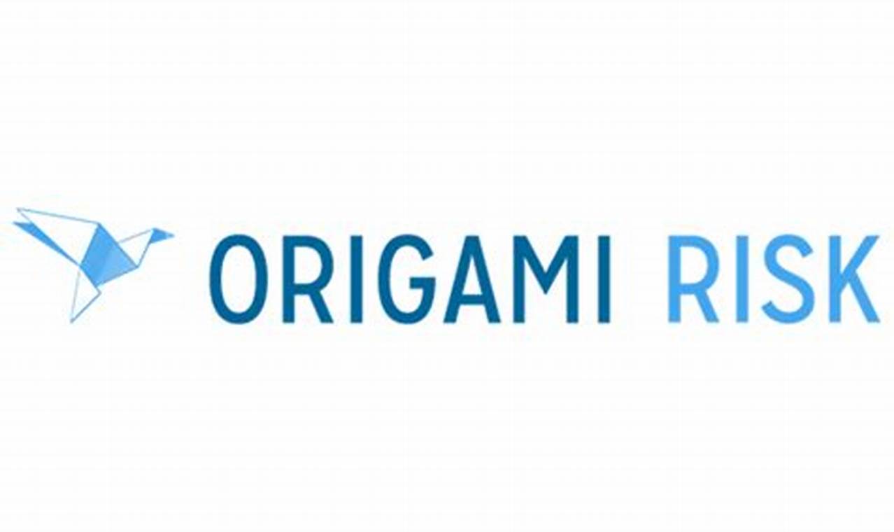 what does origami risk do