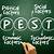 what does pest stand for in business