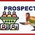 what does prospects mean in a job
