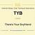what does tyb mean in texting