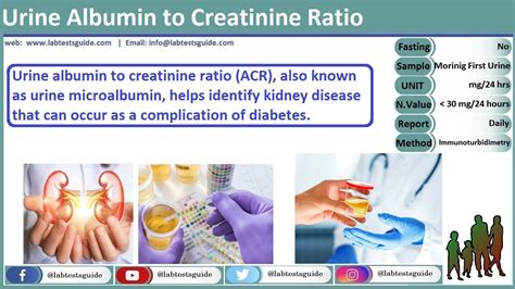 Urine Albumin Creatinine Ratio Diabetes Urine Albumin Creatinine
