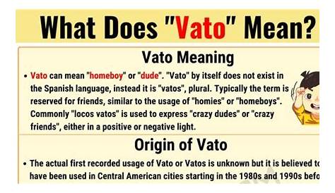 Unveiling The Enigmatic Meaning Of "Vato" In Spanish
