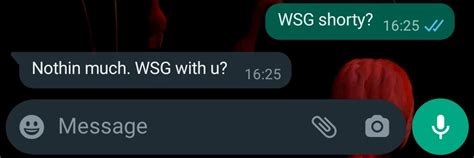 What Does WSG Mean? TikTok, Snapchat, and More