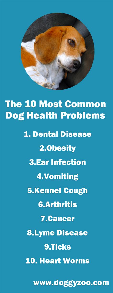 What Dog Has The Most Health Problems