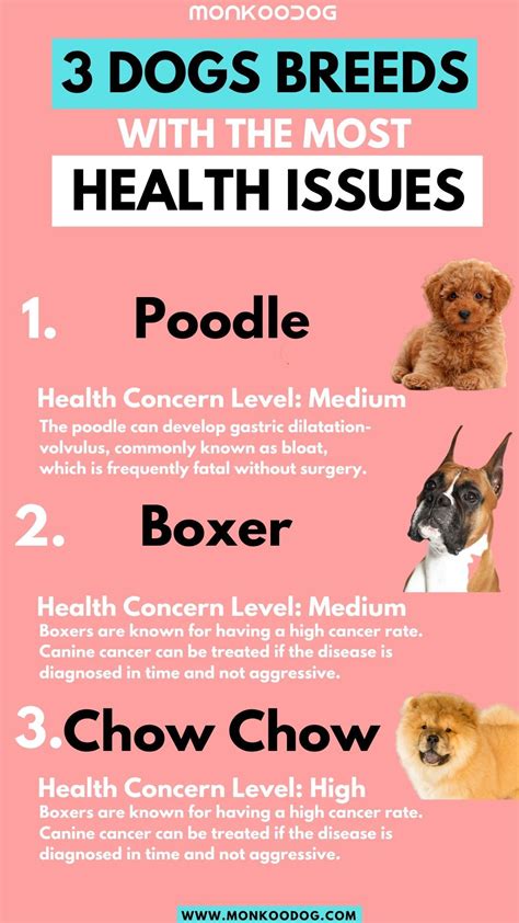 What Dogs Have The Most Health Issues