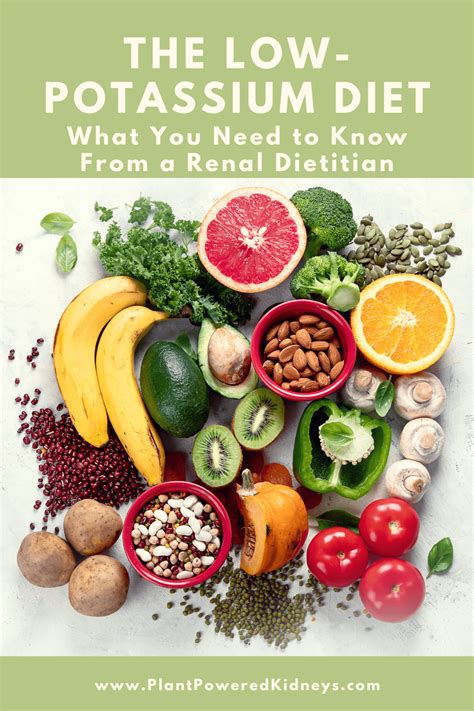 List of Low Potassium Foods Printable Image Results Food
