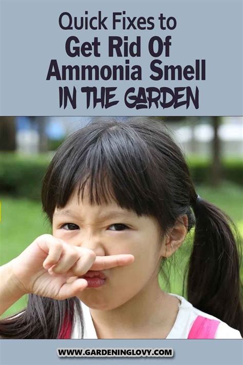 how to get rid of ammonia smell in bathroom YouTube