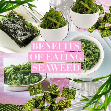 Eat Seaweed; Benefits Galore! Seaweed Health Benefits