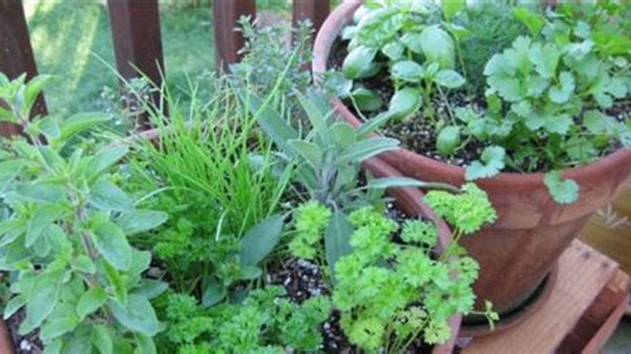 Unlock the Secrets: Discover the Perfect Herb Combinations for Thriving Container Gardens