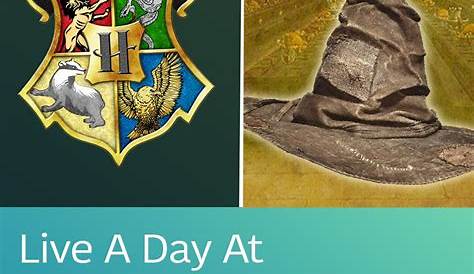 What Hogwarts House Are You In Pottermore Quiz Which Harry Potter Test