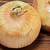 what is a vidalia onion