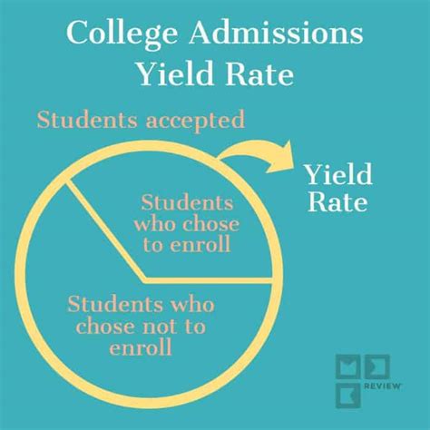 Steady yield rate for Class of 2017 Yale Daily News