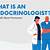 what is an endocrinologist what they do when to see one