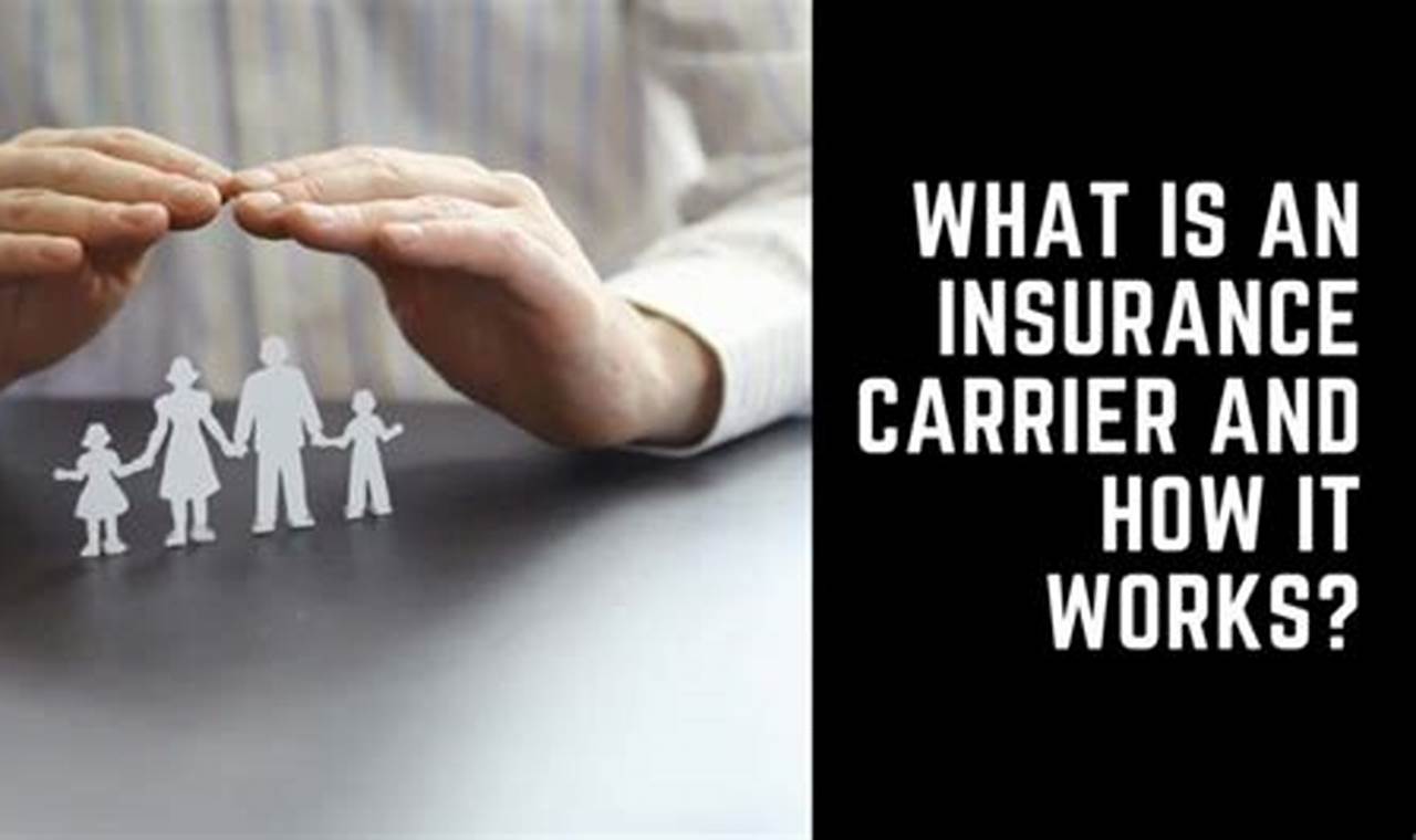 what is an insurance carrier