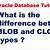 what is clob and blob datatype in oracle