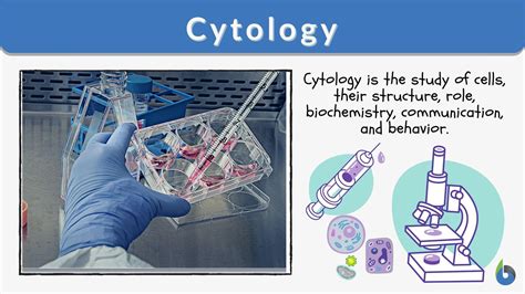 What Is Cytology Meaning