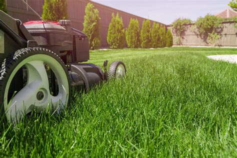 How Much Does Lawn Care Cost Exploring Program Pricing for Alexandria