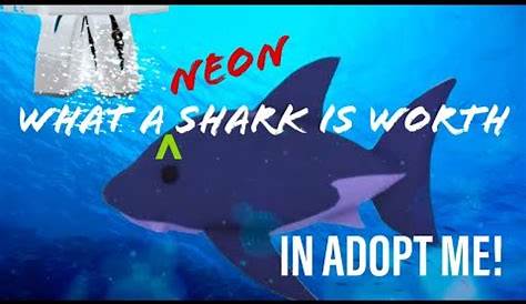 What Is Neon Shark Worth For Sale Price 2024 NFR Adopt Me