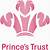 what is prince's trust gcse