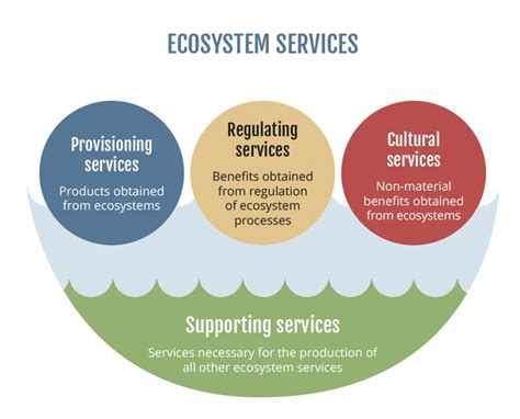 Ecosystem Services MidAtlantic Regional Ocean Assessment
