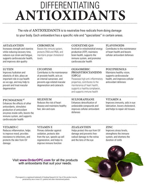 Antioxidants Free FullText Vitamin C in Plants From Functions to