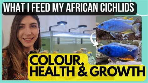 Wardley Tropical Flakes Food For African Cichlids & Community Fish BULK