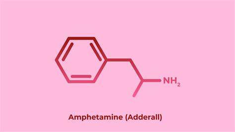 Affects of Adderall On The Human Body SiOWfa16 Science in Our World