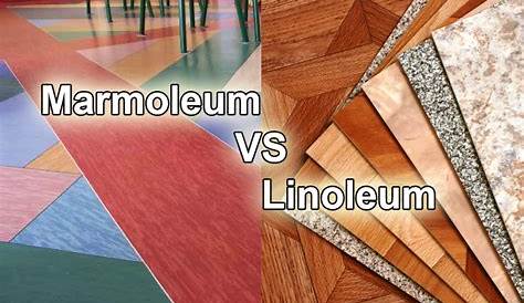 Linoleum or Vinyl What's the Difference? Windows Floors & Decor