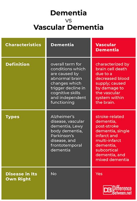 what is the difference between vascular dementia and dementia