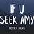 what is the meaning behind if you seek amy