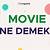 what is the movie about ne demek türkçesi