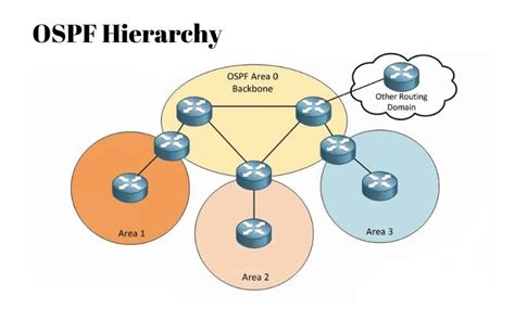 Packet Travel Guide Lab Routing to a branch office using OSPF