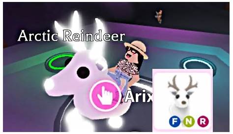 What Is Worth Neon Arctic Reindeer MAKING A NEON ARCTIC REINDEER!!! YouTube