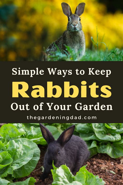 Keep Rabbits Out Of Your Garden Naturally Rebooted Mom