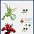 what level does scyther evolve in brilliant diamond