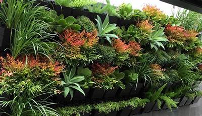 What Plants Are Suitable For Vertical Garden