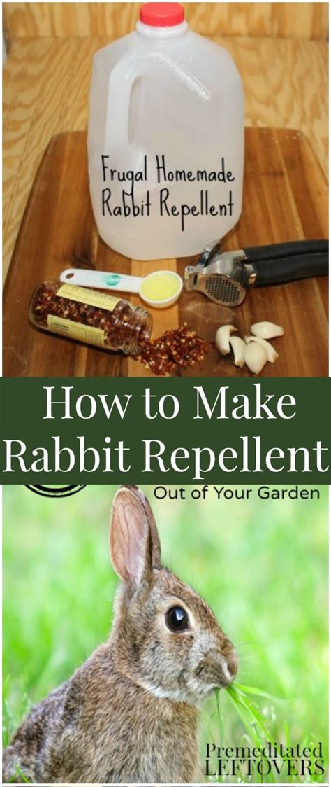 Pinspired Home Homemade Critter Repellant Keep Rabbits from Eating