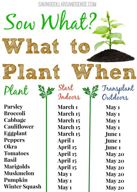 Planting Your Spring Vegetable Garden A Healthy Life For Me